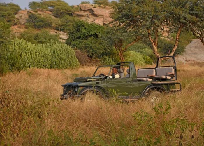Jawai Leopard Safari Lodge