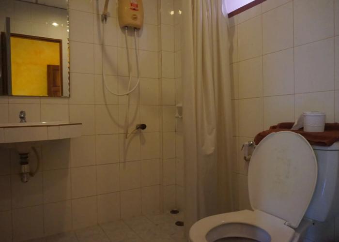 Ban Elephant Blanc Apartment