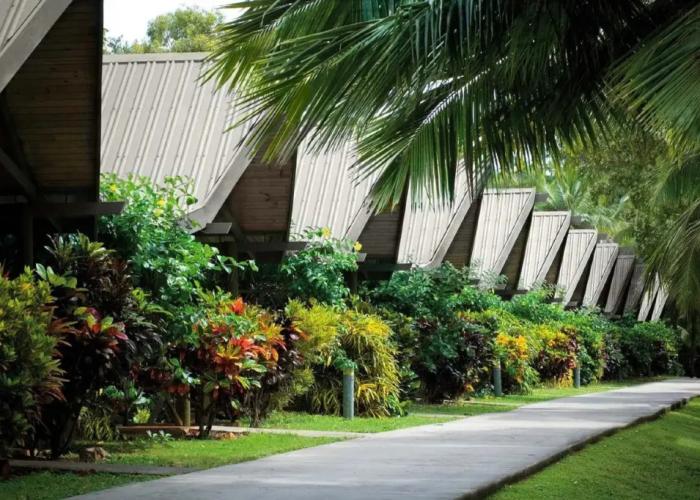 Palm Bungalows