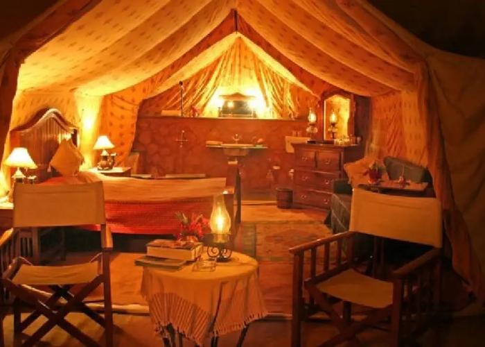 Reggie's Camel Camps
