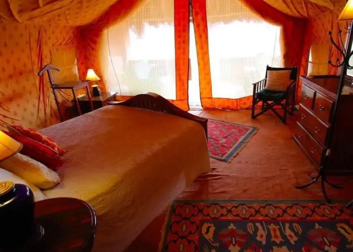 Reggie's Camel Camps
