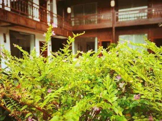 Yunxi She Guesthouse