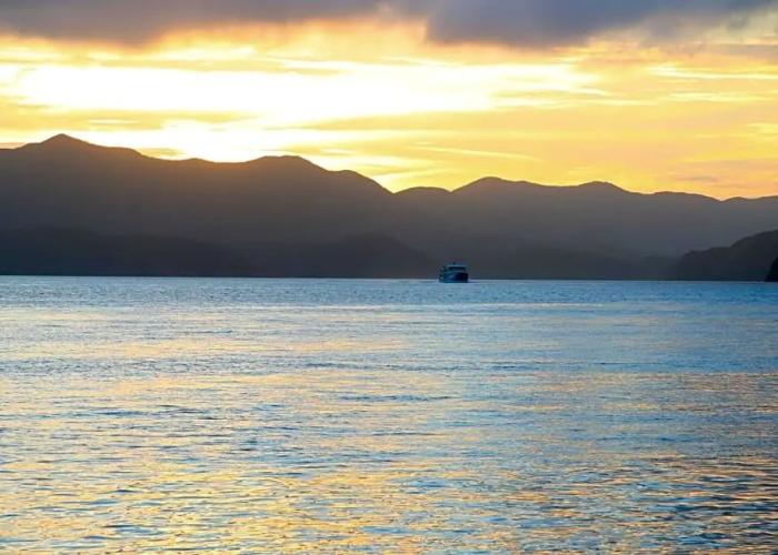 Sun Flower City Hotel