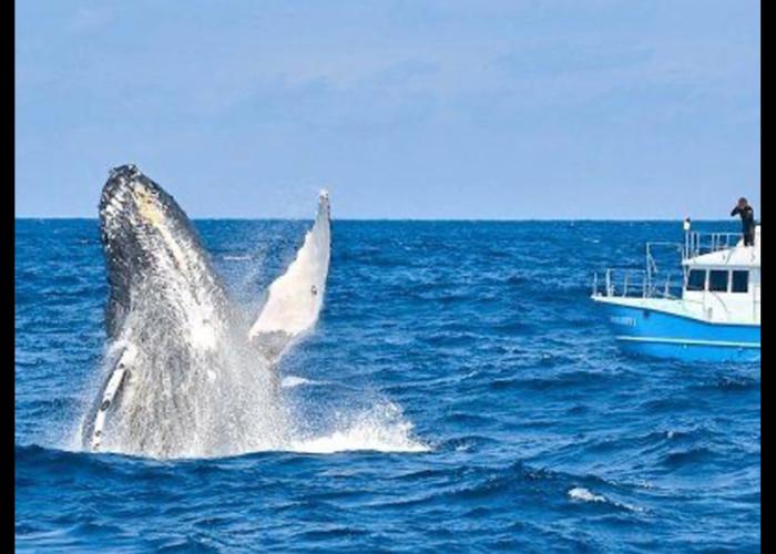 ZeroGravity Seisui VILLA