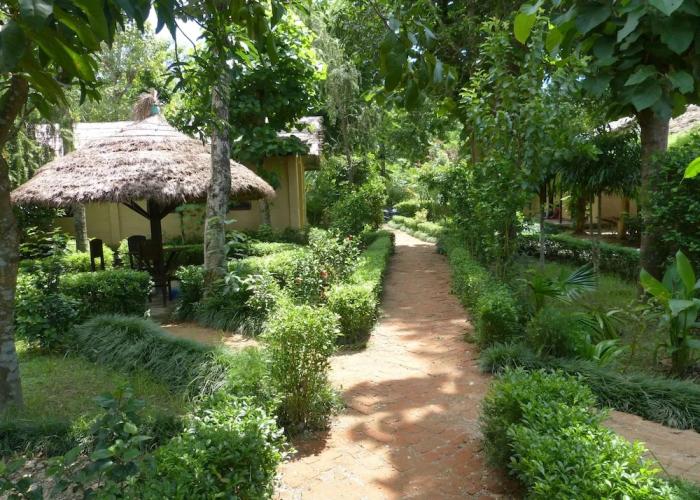 Nature Safari Resort