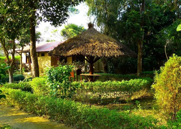 Nature Safari Resort