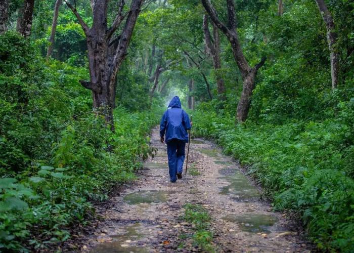 Samarth Bardia Adventure Resort