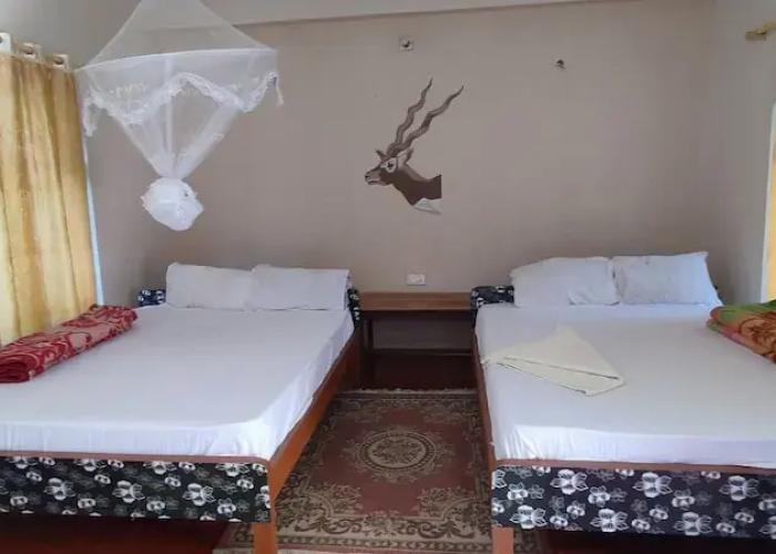 Bardia Jungle Cottage