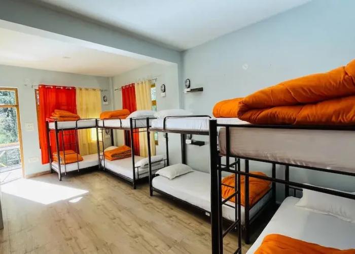 Madpackers Jibhi - Hostel