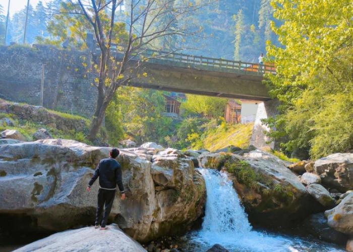 Madpackers Jibhi - Hostel