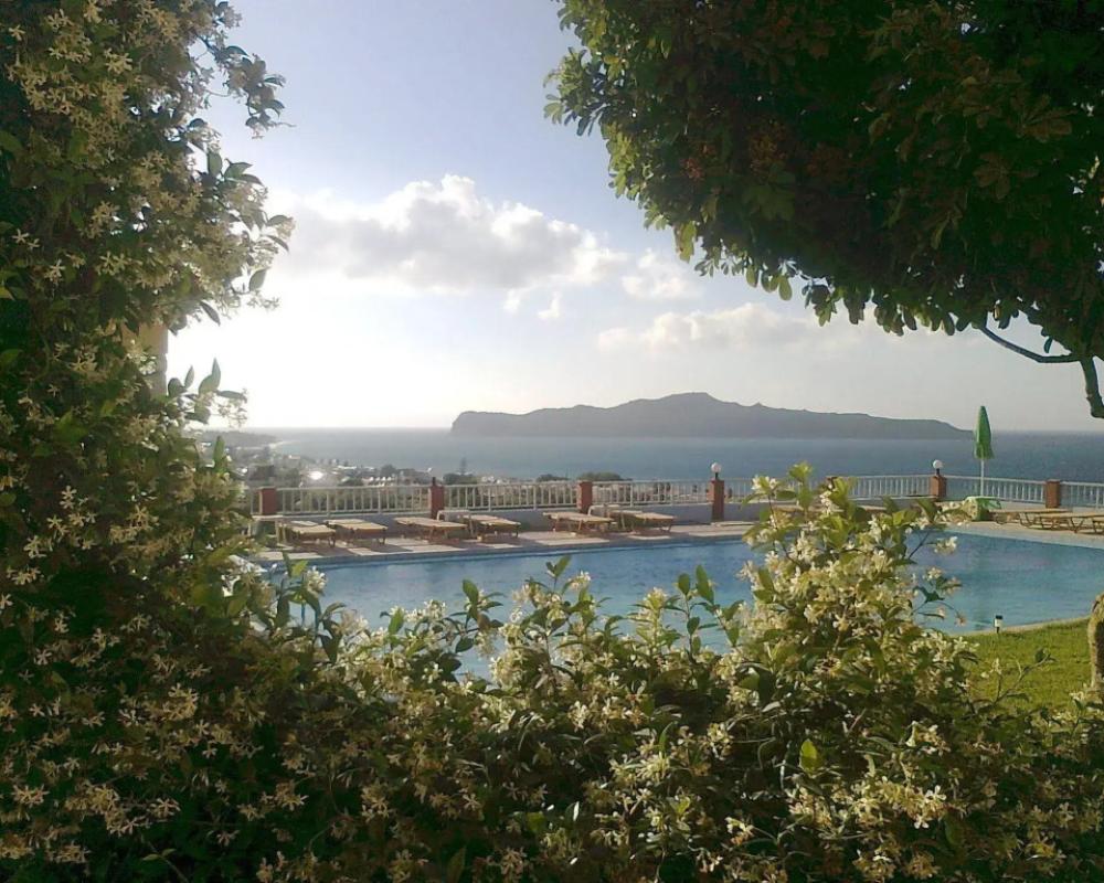 фото Eliros Studios