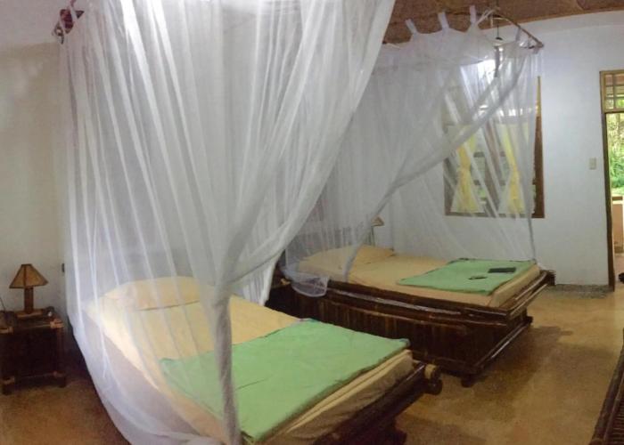Ecolodge Bukit Lawang