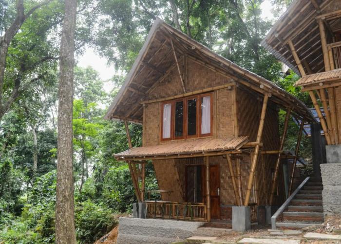 Ecolodge Bukit Lawang