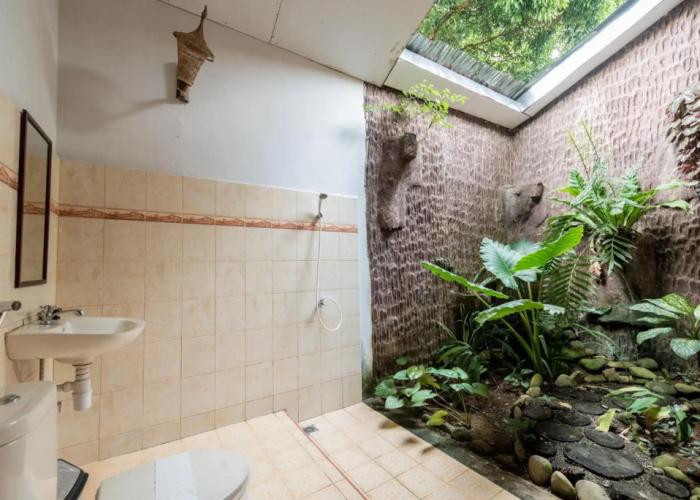 Ecolodge Bukit Lawang