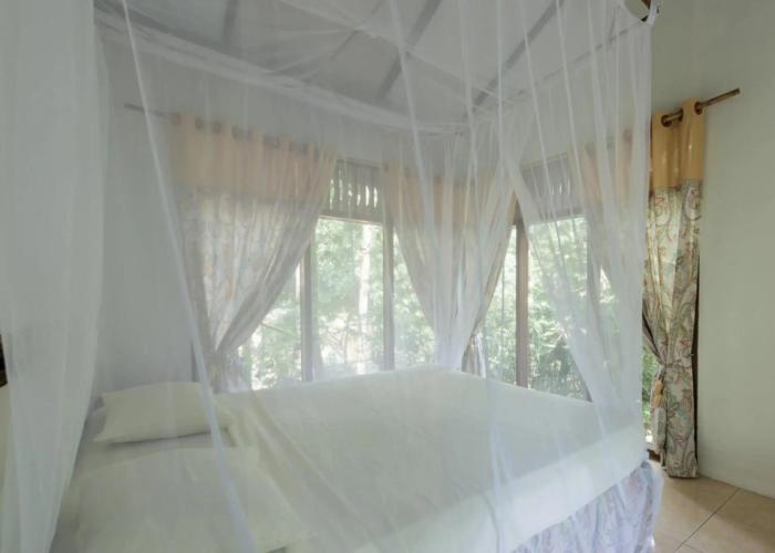 Ecolodge Bukit Lawang