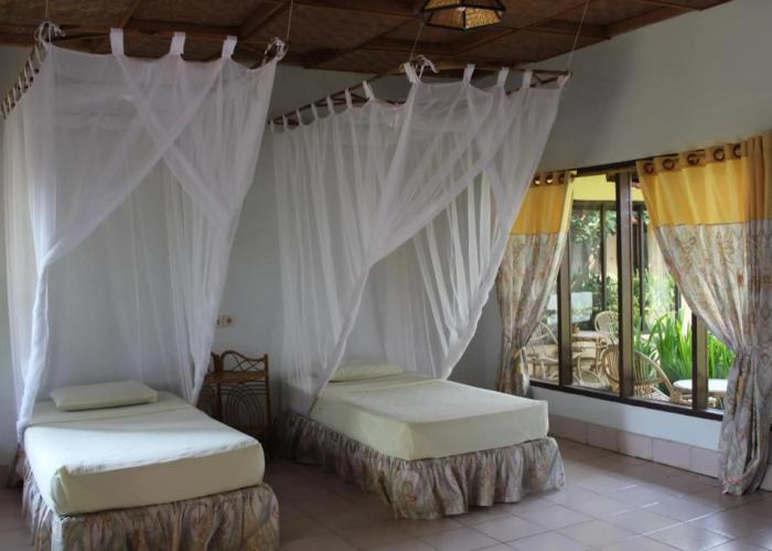 Ecolodge Bukit Lawang