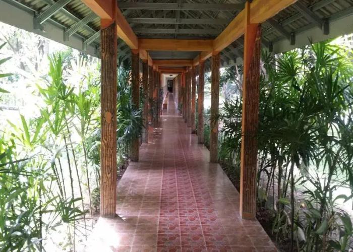 Rindu Alam Hotel Bukit Lawang