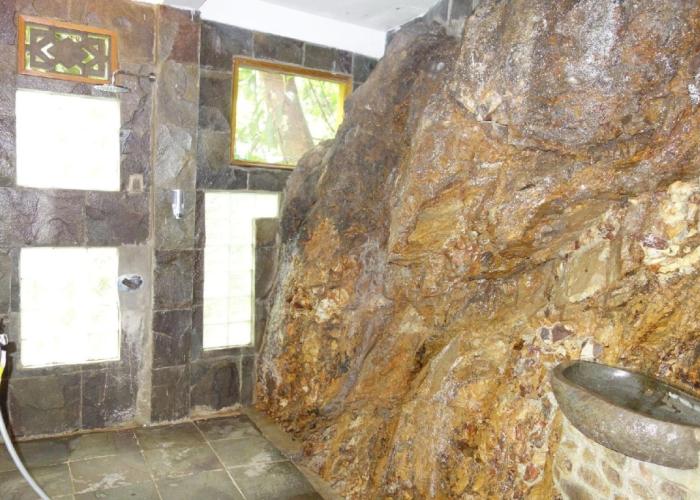 Hotel Orangutan