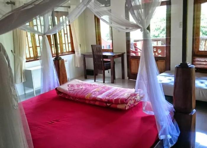 Hotel Orangutan