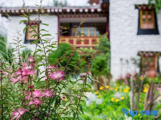 Xiyue Mijing Hotel