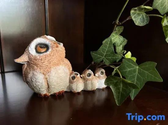 The Happy Bandmo's Home