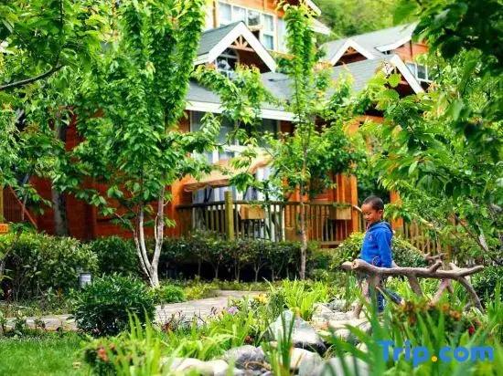 Lixian Muya star cabin Manor
