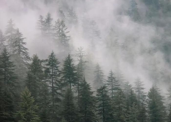 The VOID - Tirthan Valley