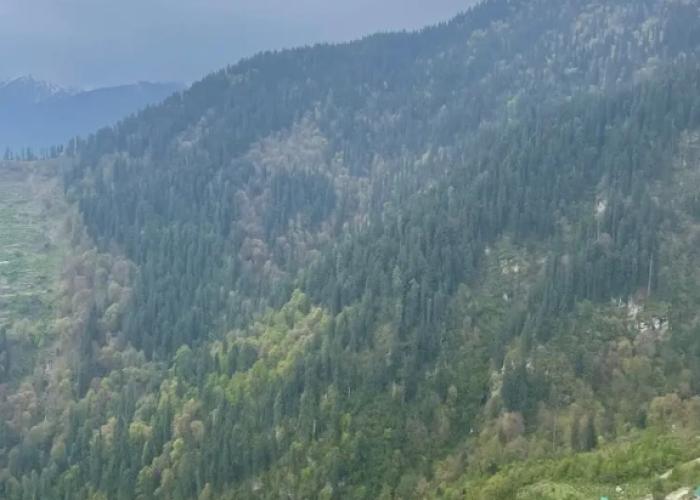 The VOID - Tirthan Valley