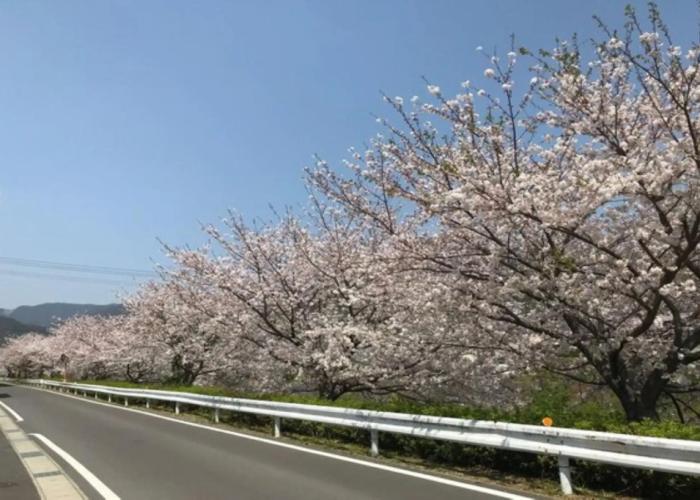 Business Hotel Kawakami Kumano