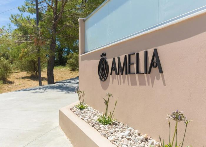 Amelia Residence