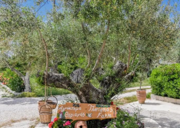 Theriano’s Villas