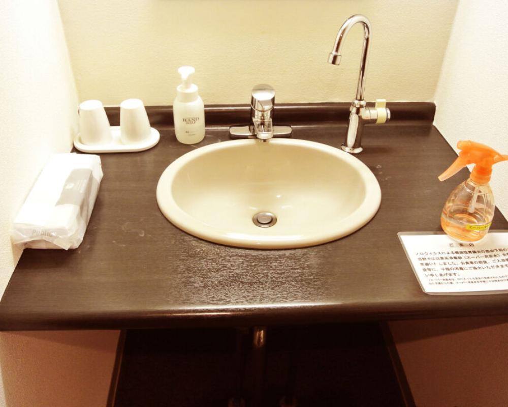 фото Shintamagawa Onsen