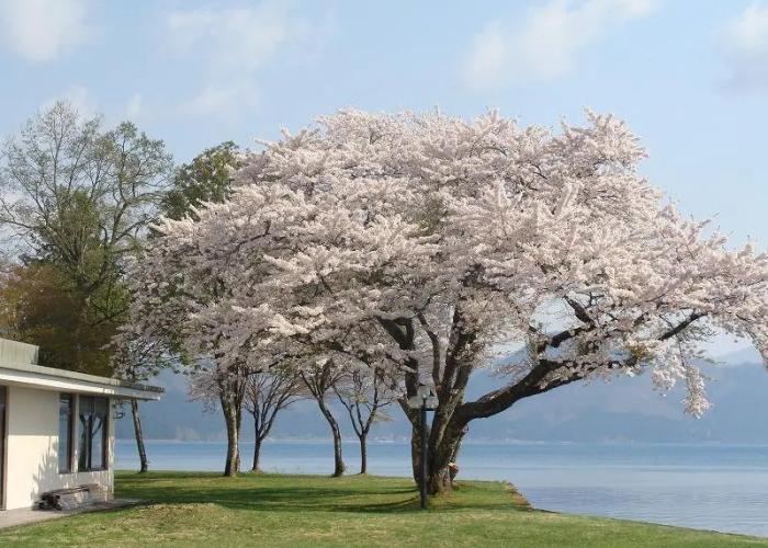 Tazawako Rose Park Hotel