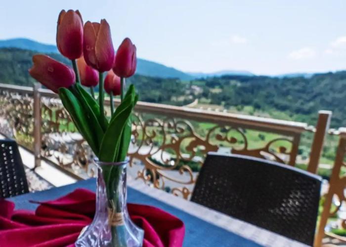 Sarot Thermal Palace Tatil Koyu (Halal Hotel)