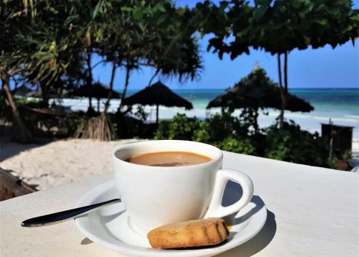 Zoi Retreat Hotel Zanzibar