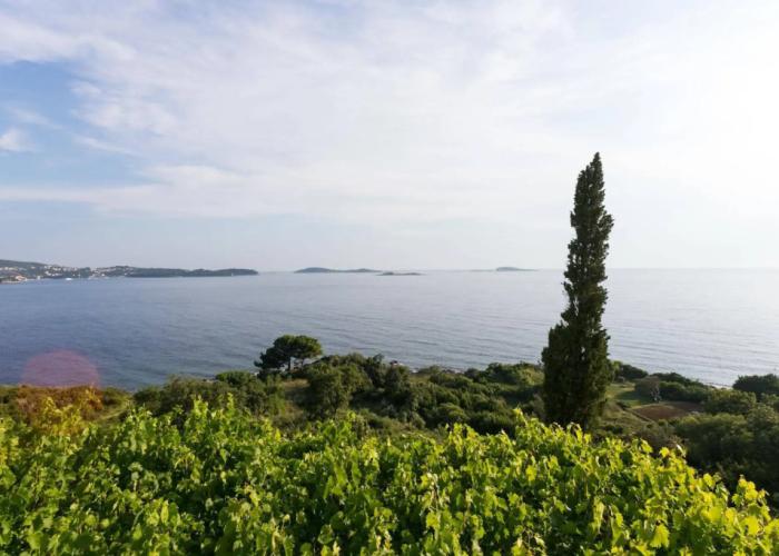 Guest House Fontana