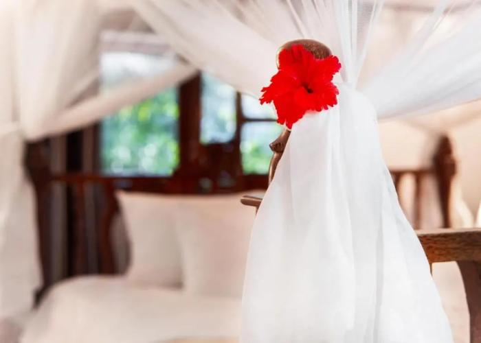White Paradise Zanzibar