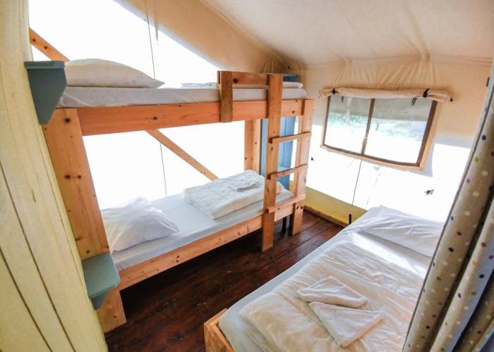 Sunflower Camping