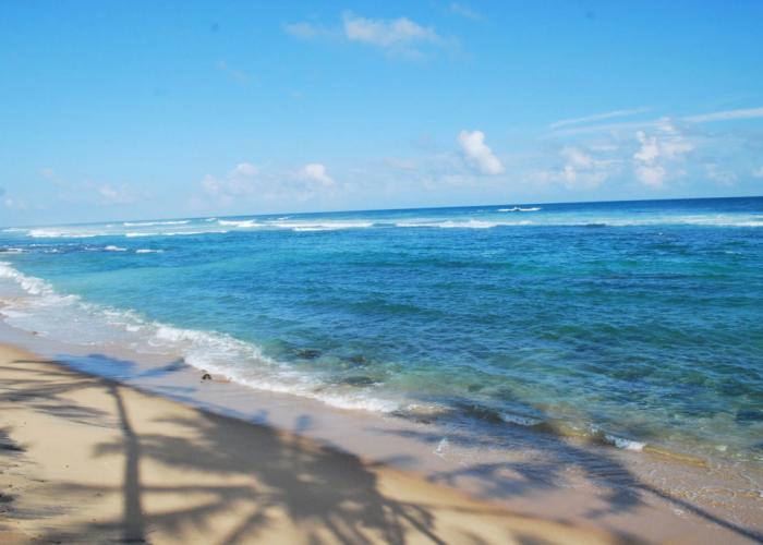 Paradise Beach Resort