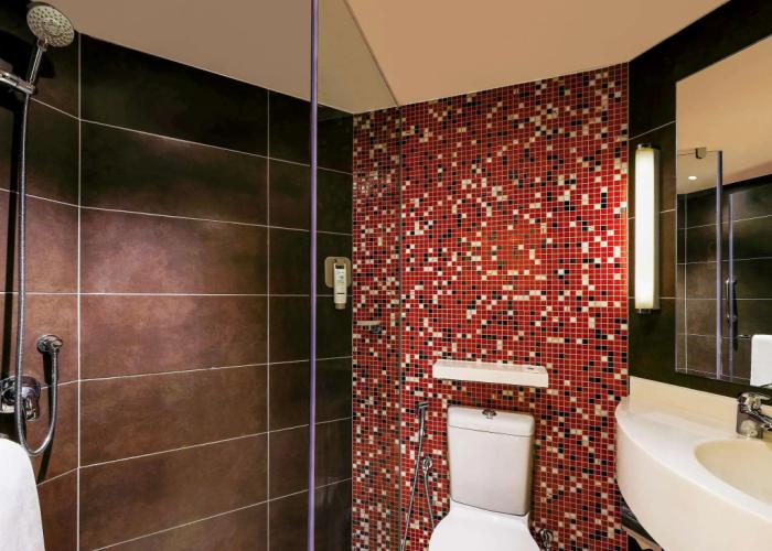 ibis Hyderabad Hitech City Hotel