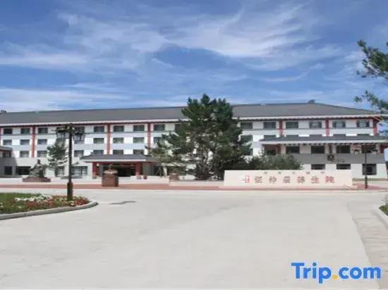 Mohe Songyi Hotel (Arctic Village)