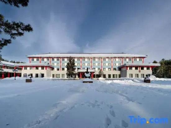 Mohe Songyi Hotel (Arctic Village)