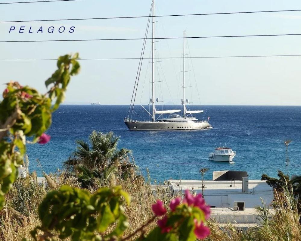 фото Pelagos Studios