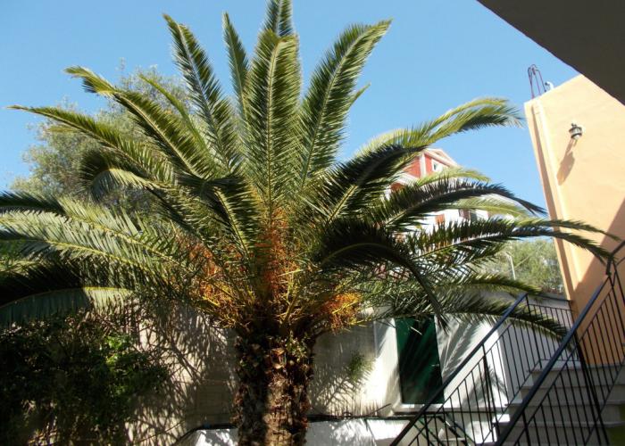 Kavos Fantasia Complex