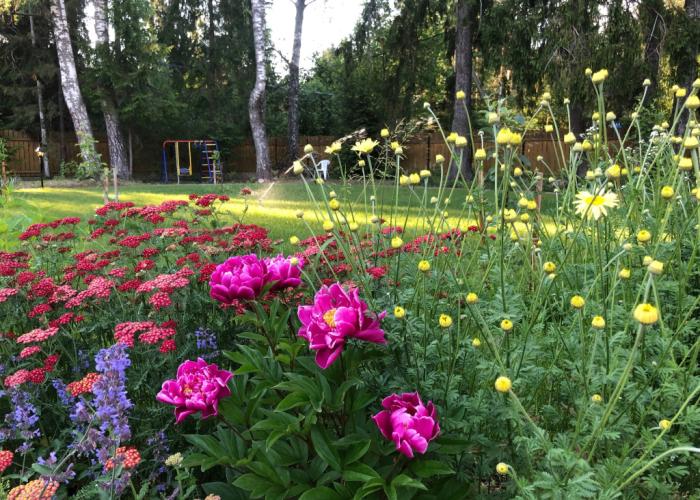 Vyritskiy Mamont Guest House