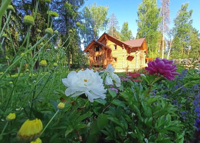 Vyritskiy Mamont Guest House