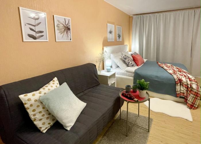 2 Nochi Na Ulitse Pushkinskaya 34 Flat
