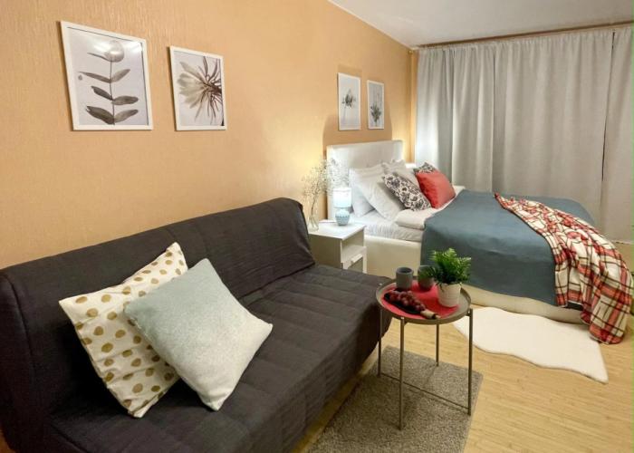 Apartment 2 o'clock on Pushkinskaya street 34