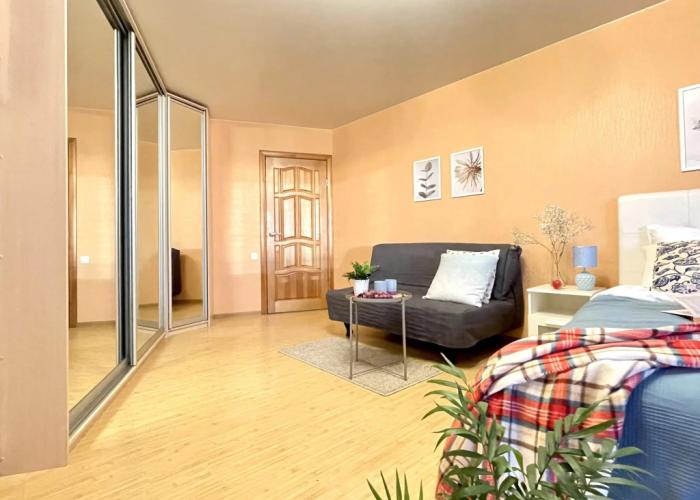 Apartment 2 o'clock on Pushkinskaya street 34