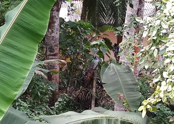 Villa River Paradise